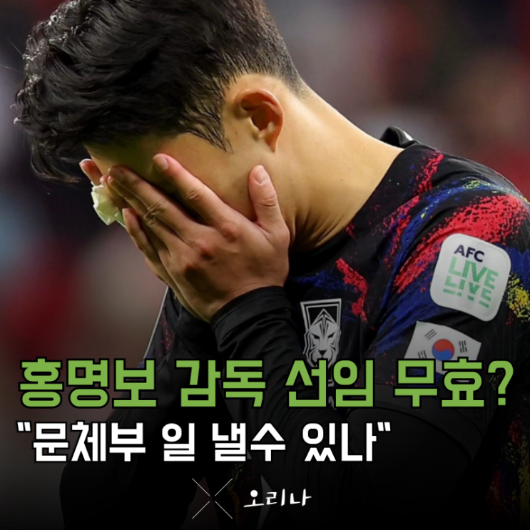 "<b>홍명보</b> 한국 대표팀 <b>감독</b> 선임 무효 " <b>문체부</b> 하자 발견 시... 