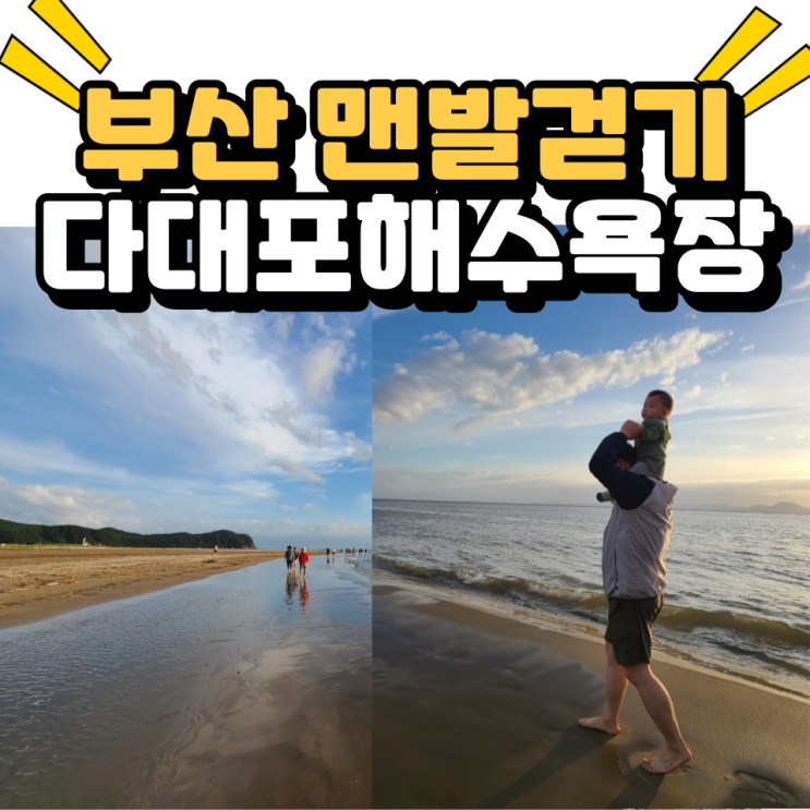  부산맨발걷기 다대포해수욕장 조개 꽃게 해루질포인트