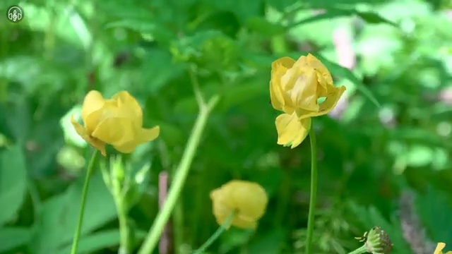  무료심리상담자격증 , 심리상담사 자격증 15일 만에 취득한 정보 , 무료수강 혜택