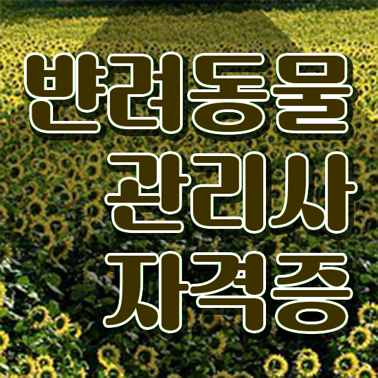  반려동물목욕관리사 , 반려동물관리사 자격증 직장인도 쉽게 준비한 과정 , 무료수강 혜택