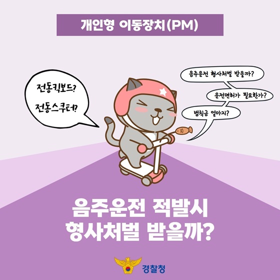  ️ 전동킥보드 vs 전동스쿠터 차이점 및 도로교통법 ️