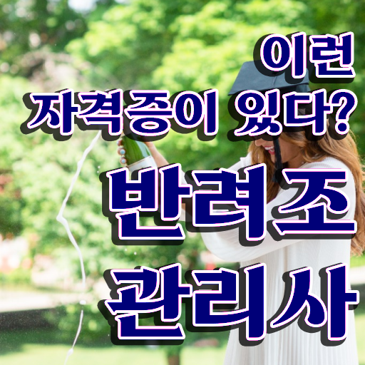  모란앵무분양 , 반려조관리사 자격증 15일 만에 준비한 과정 살펴보기