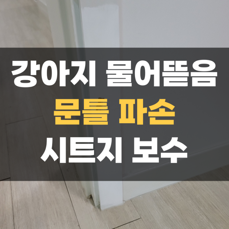 강아지 파손 문틀 까짐 원상복구 인테리어 필름 보수 평택 집수리 강아지 파손 문틀 까짐 원상복구 인테리어 필름 보수 평택 집수리
