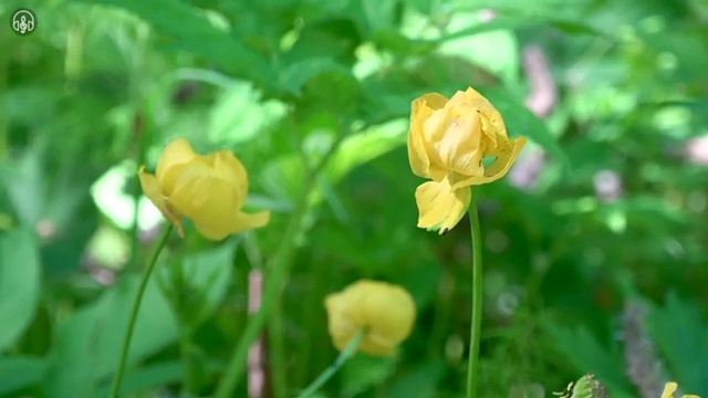  명리심리상담사 합격한 후기 , 학습방법