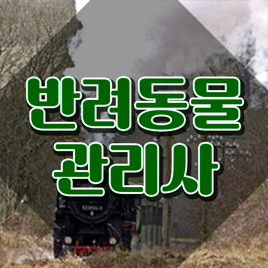  , 반려동물관리사 자격증 간단하게 준비한 과정 , 구직정보