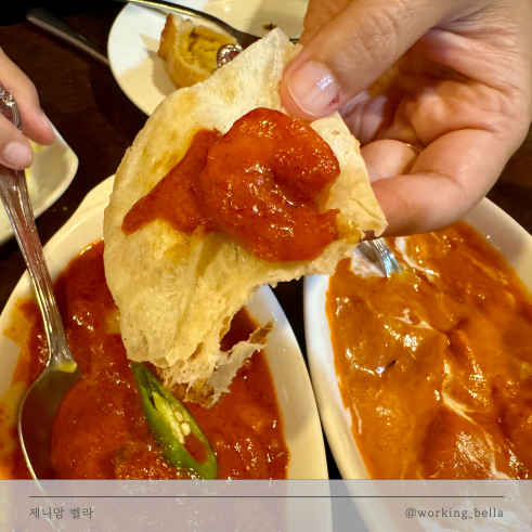  종각 맛집 인도카레 히말라야 종각점