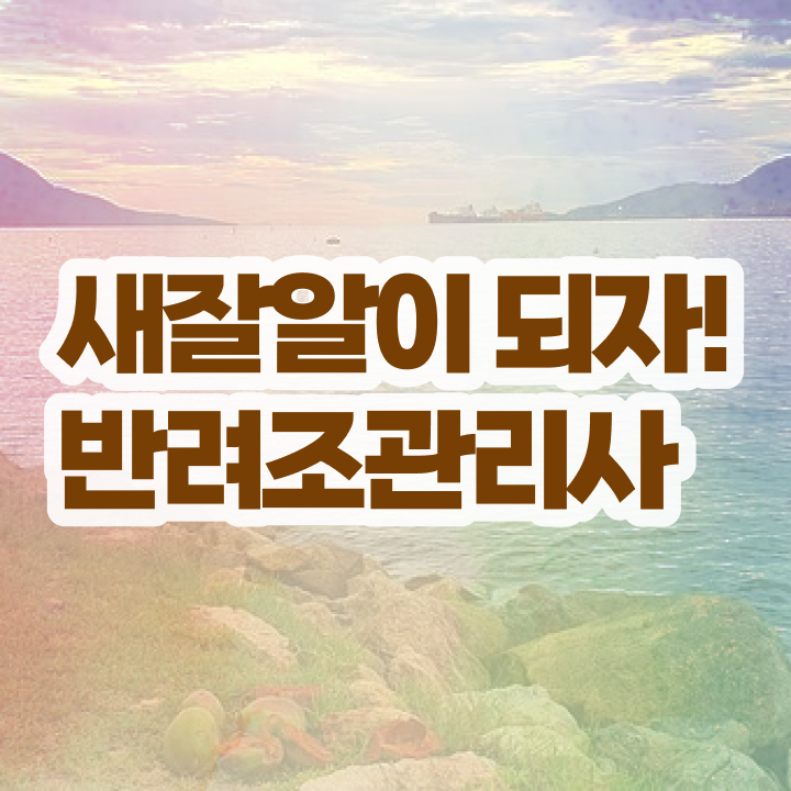  , 반려조관리사 자격증 취득한 과정 정보 모두 드려요