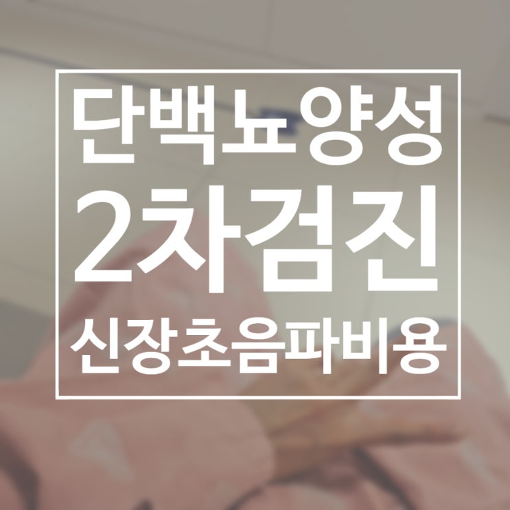 단백뇨양성 원인 및 건강검진 2차 신장초음파비용 및 후기