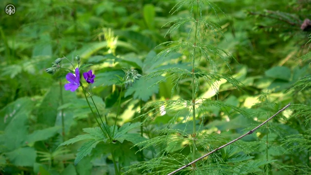  초등 돌봄교실 신청방법 , 방과후돌봄교실지도사 자격증 쉽고 빠르게 취득한 방법 , 취업 전망