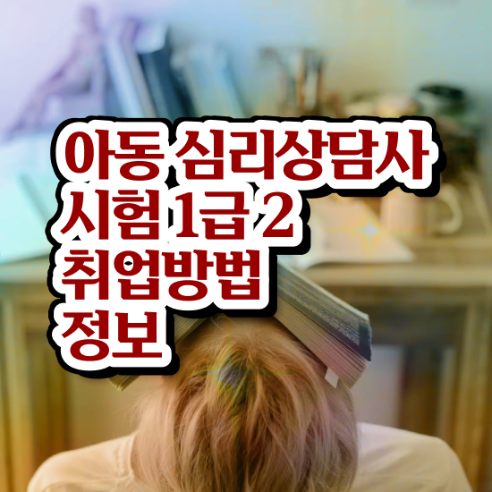  노인 심리상담사 자격증 , 심리상담사 자격증 단기간에 취득한 정보 , 향후 전망
