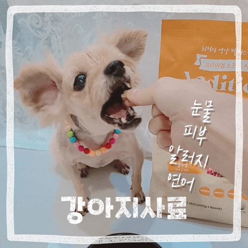  강아지 눈물사료 안전한 베디션 피부 알러지 펫케어 애견 연어사료