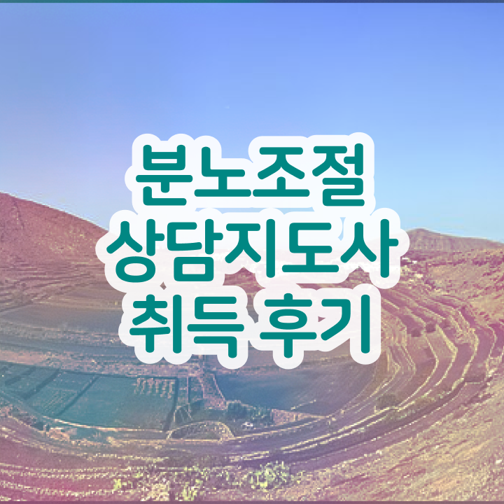  선택적 분노조절장애 , 분노조절상담지도사 직장인도 편하게 끝내는 과정
