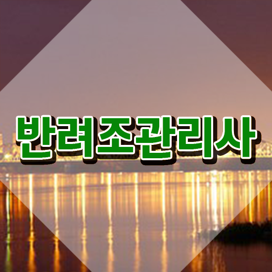 말하는 앵무새 분양 , 반려조관리사 자격증 쉽고 간편하게 취득했던 후기 및 온라인 무료강의