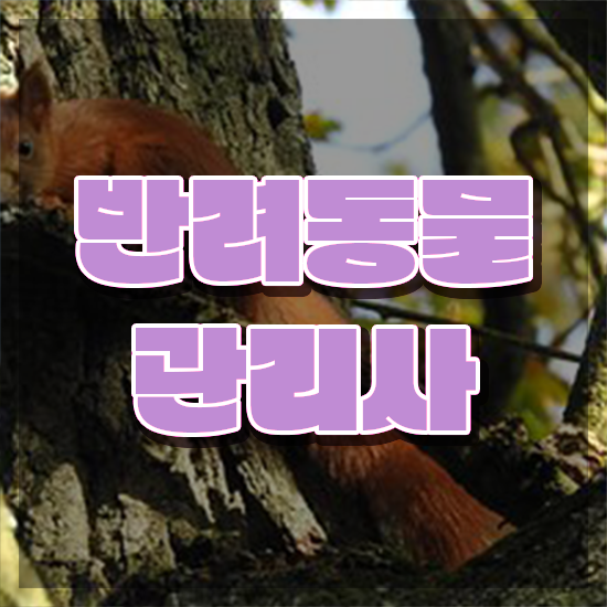  , 반려동물관리사 자격증 1달 만에 합격한 후기 핵심 정보 가득