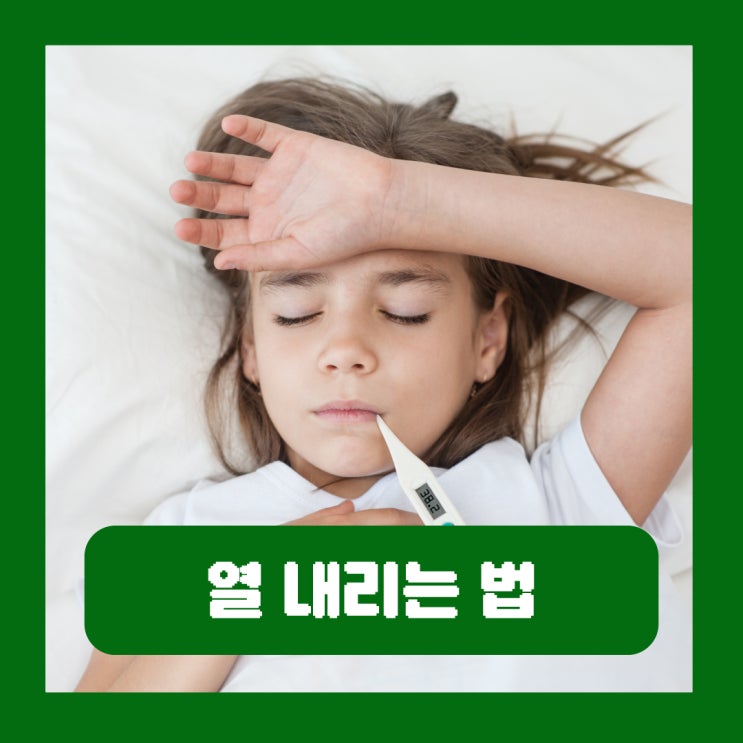  성인 아기 임산부 머리 얼굴 피부 몸 열 내리는법 정상체온