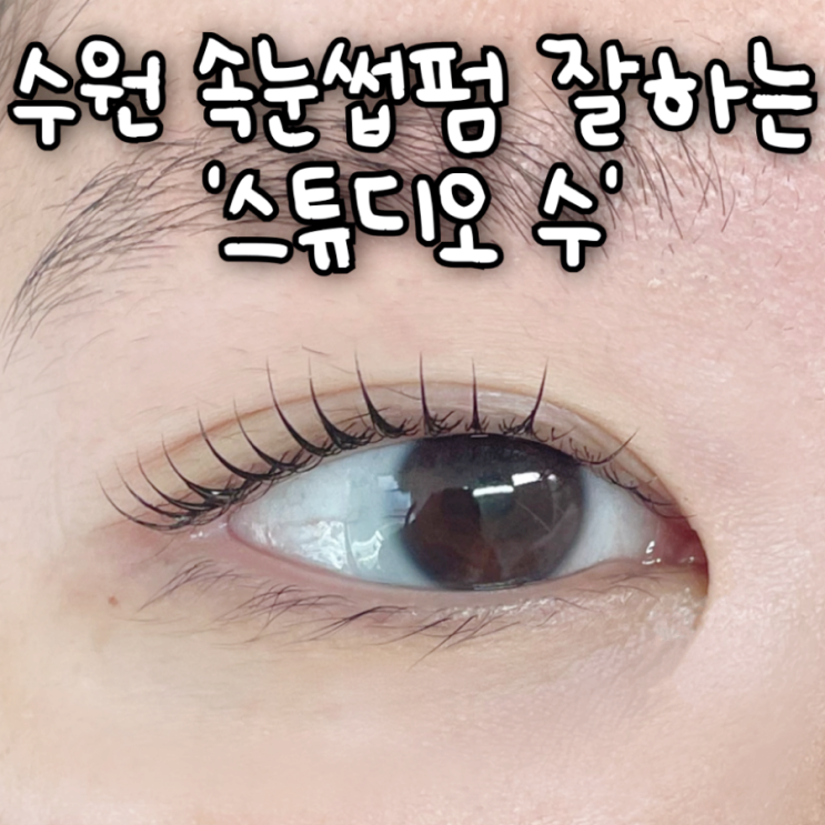  1시간이면 2개월 유지되는 수원 인계동 속눈썹펌 가게 추천! "스튜디오 수" 연장도 가능!