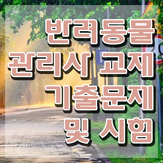  부산 강아지 훈련사 , 반려동물관리사 자격증 비용없이 온라인으로 준비한 방법 정보 필요하시죠