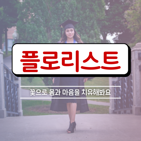  꽃꽂이 방법 , 플로리스트 자격증 합격정보 정리해봤어요