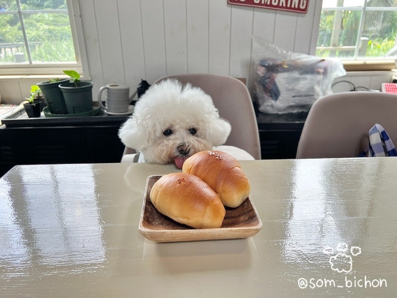 소금빵까페 키친오즈