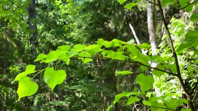  부동산개발 , 부동산권리분석사 취득한 과정 , 채용현황