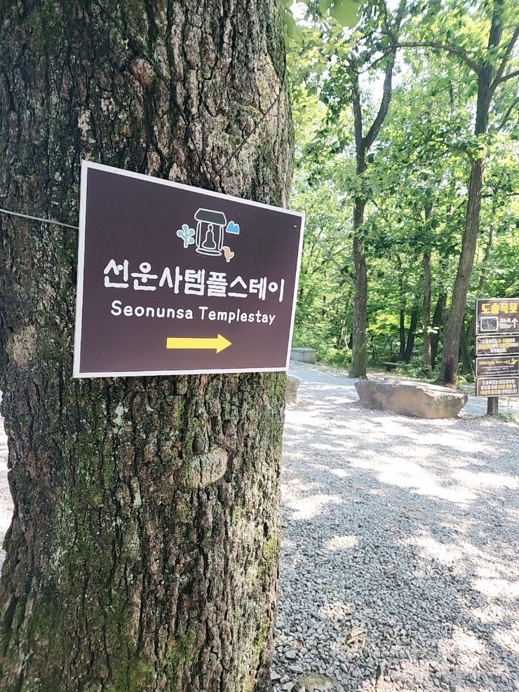  전북고창 도솔산 힐링여행 선운사템플스테이