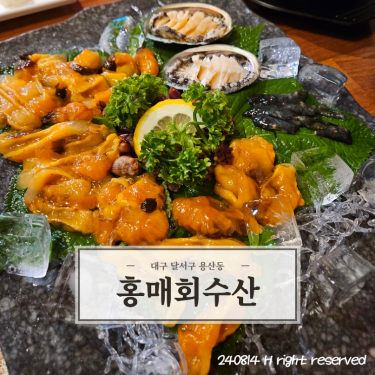 [대구 용산] 달서구 산지직송 모둠회 맛집 '홍매회수산'