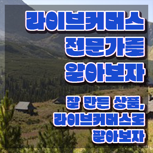  라이브커머스 뜻 , 라이브커머스전문가 자격증 합격한 비법 정보 퍼펙트 요약