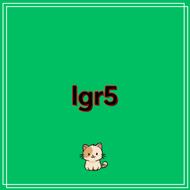 LG전자 코드제로 R5 로봇청소기 비교분석| R585WKA1, R585WKA, R585HKA, R585 | 코드제로 R5, 로봇청소기,....