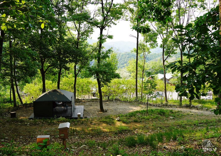  연천 고대산 자연휴양림 캠핑장 명당 데크 리뷰 예약 방법