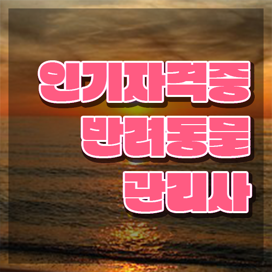  반려동물 관리사 , 반려동물관리사 자격증 간단하게 취득한 과정 확인해봅시다