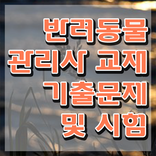  반려동물관리사1급자격증따기 , 반려동물관리사 자격증 온라인으로 학습한 후기 , 취업정보