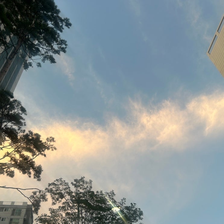  열심히 일하고 열심히 놀고 열심히 마신 일주일 8