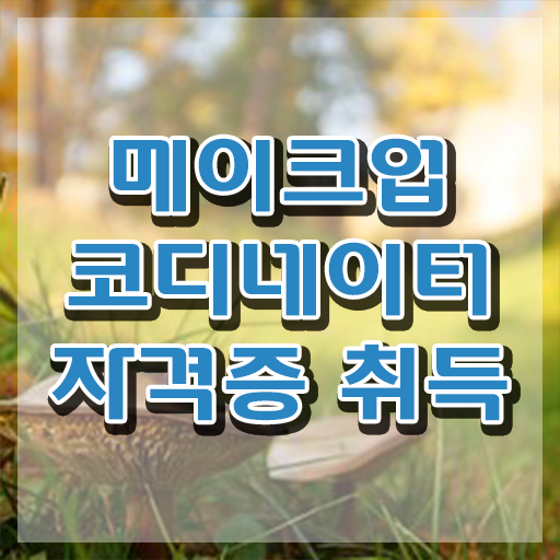  메이크업실무 , 메이크업코디네이터 자격증 직장인도 쉽게 학습한 후기 , 채용 정보
