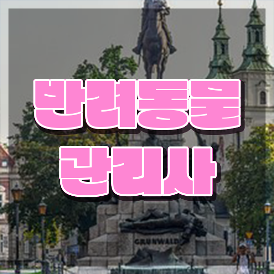  40대여성취업 , 반려동물관리사 자격증 비용없이 온라인으로 준비한 방법 및 취업 전망