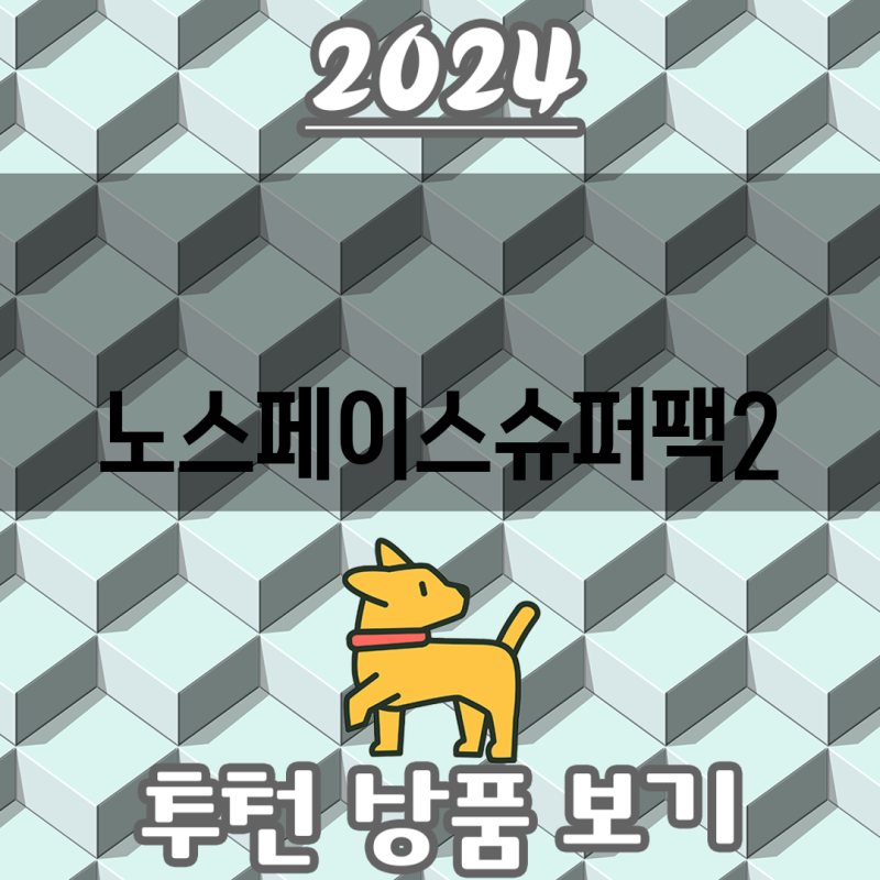노스페이스 슈퍼팩2 완벽한 선택을 위한 분석 장점  단점 비교