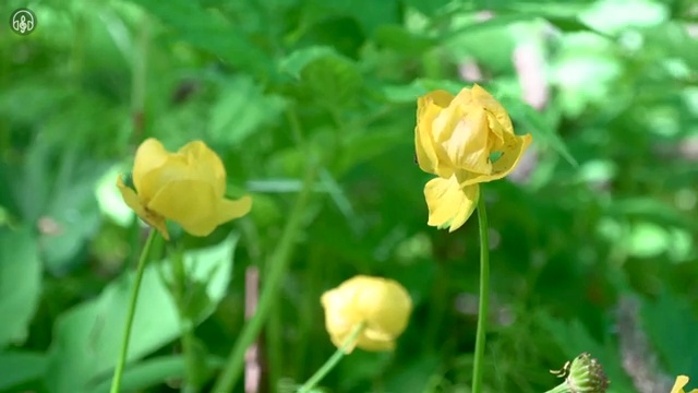  부동산자산관리전문가 인증 , 부동산자산관리사 자격증 준비한 과정 요약해봤어요