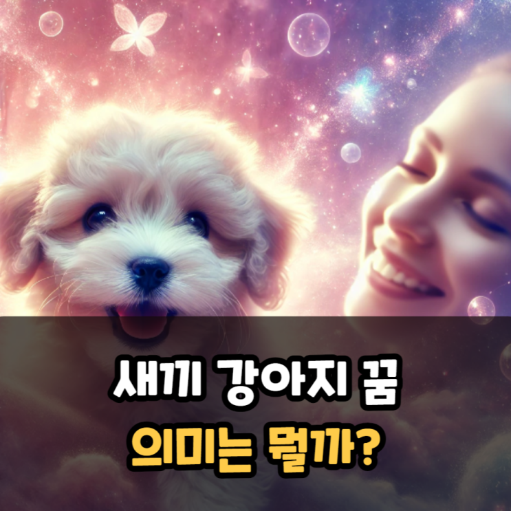  새끼 강아지꿈 의미는?