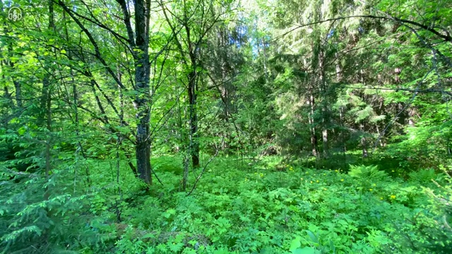  무료사주사이트 , 심리상담사 자격증 2주 만에 취득한 노하우 콕콕 짚어드립니다