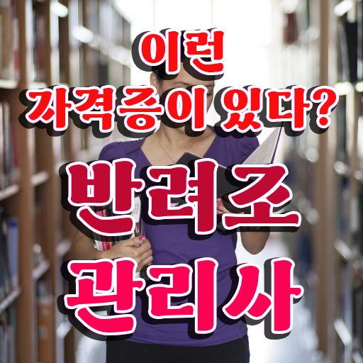  말하는 앵무새 인형 , 반려조관리사 자격증 비용없이 온라인으로 합격정보 확인하기