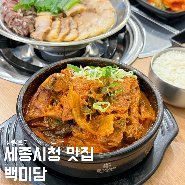  세종시 맛집 보람동 점심 먹기 좋은 백미담