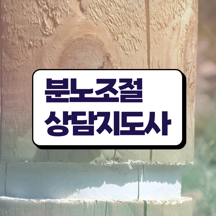  분노조절장애치료법 분노조절상담지도사자격증 온라인으로 간단히 합격한 팁