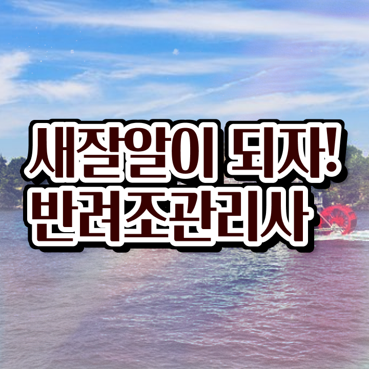  말하는 앵무새 분양 , 반려조관리사 자격증 취득한 노하우 제가 알려드릴게요