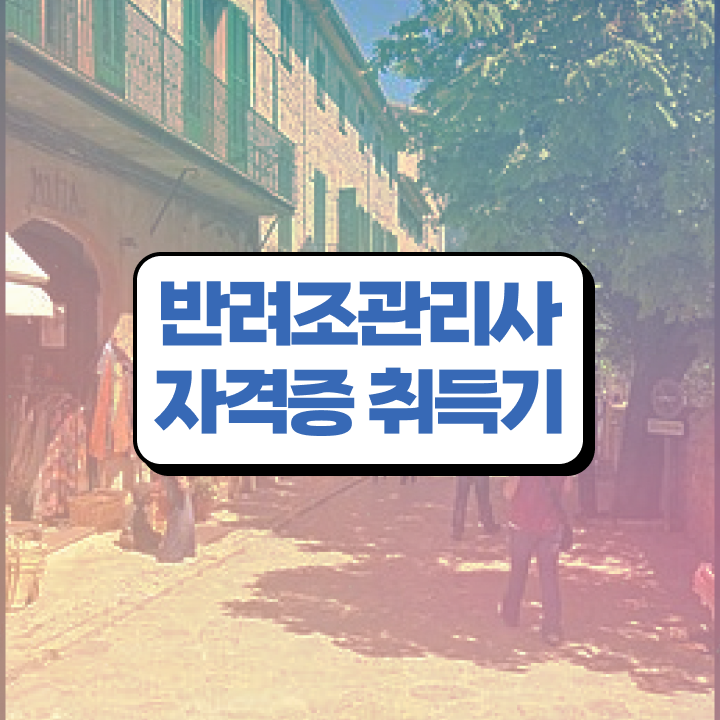  앵무새 분양가격 , 반려조관리사 자격증 취득한 방법 핵심 정보 정리