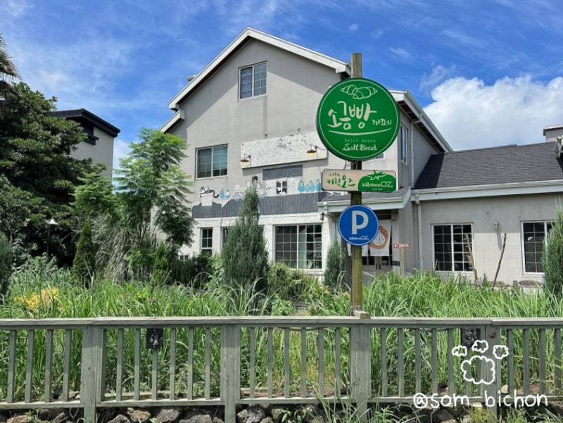 사진 2