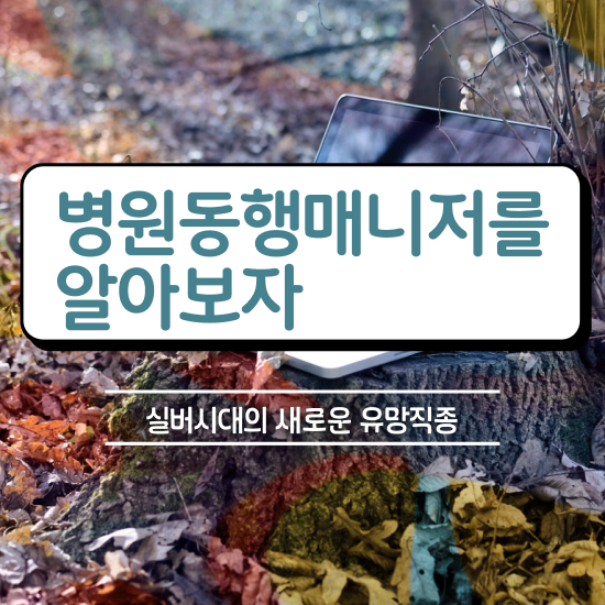  노후 자격증 추천 , 병원동행매니져 쉽고 빠르게 준비하는 전략