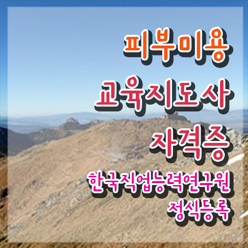  피부관리사 , 피부미용교육지도사 자격증 직장인도 쉽게 합격한 전략 및 취업정보