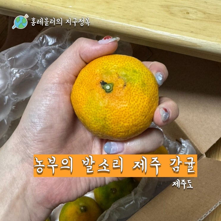  제주 청정 하우스 감귤 1kg 로얄과 농부의 발소리, 과일택배 후기