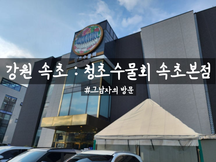  [강원 속초시] 청초수물회 속초본점 : 무더운 여름이면  생각나는 시원한 물회