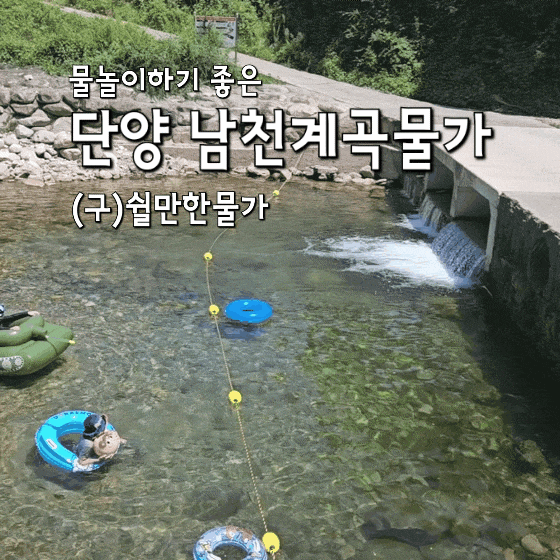  충북 단양 물놀이하기 좋은 남천계곡물가(구 쉴만한물가) 캠핑 후기