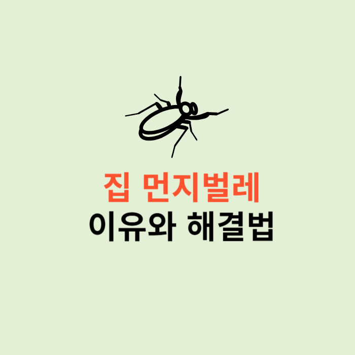 집먼지벌레 발견되는 이유와 퇴치 방법까지